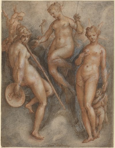 Minerva, Juno und Venus von Jan van der Straet